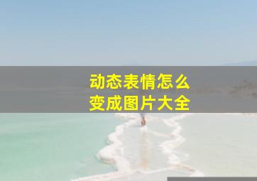 动态表情怎么变成图片大全