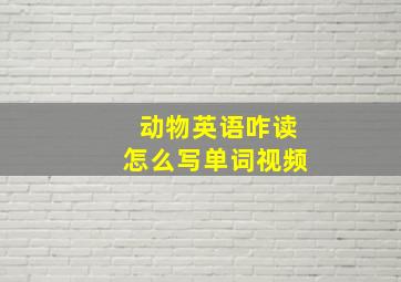 动物英语咋读怎么写单词视频