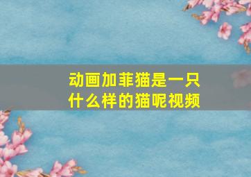 动画加菲猫是一只什么样的猫呢视频