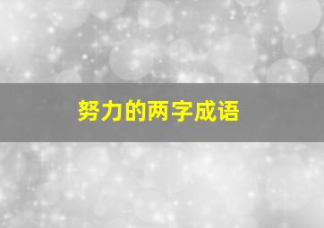 努力的两字成语