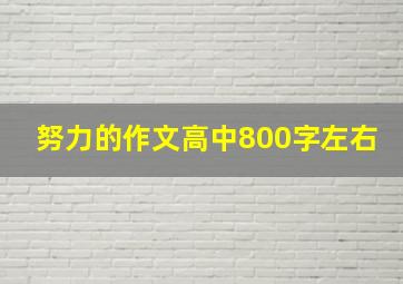 努力的作文高中800字左右