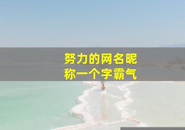 努力的网名昵称一个字霸气