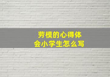 劳模的心得体会小学生怎么写