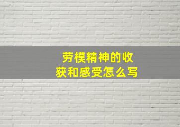 劳模精神的收获和感受怎么写