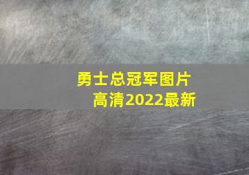 勇士总冠军图片高清2022最新