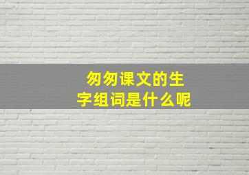 匆匆课文的生字组词是什么呢