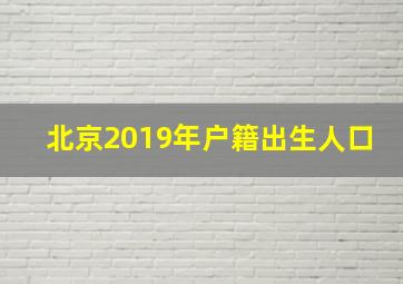 北京2019年户籍出生人口