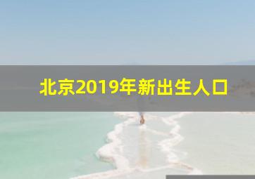 北京2019年新出生人口