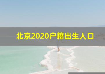 北京2020户籍出生人口