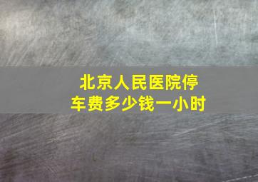 北京人民医院停车费多少钱一小时