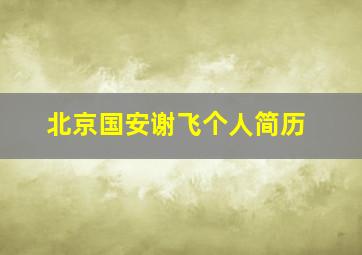 北京国安谢飞个人简历