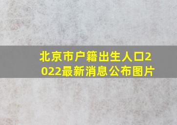 北京市户籍出生人口2022最新消息公布图片