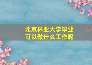 北京林业大学毕业可以做什么工作呢