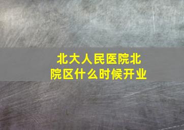 北大人民医院北院区什么时候开业