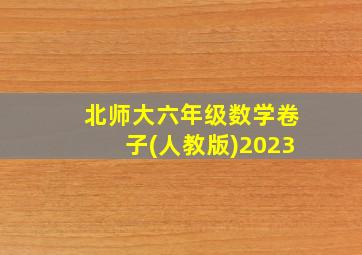 北师大六年级数学卷子(人教版)2023