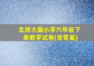 北师大版小学六年级下册数学试卷(含答案)