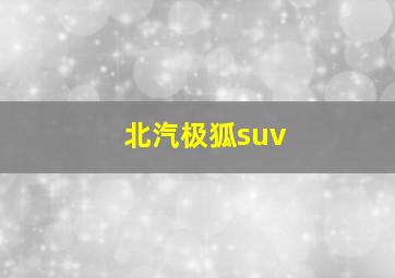 北汽极狐suv