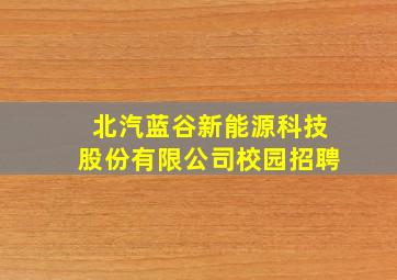 北汽蓝谷新能源科技股份有限公司校园招聘