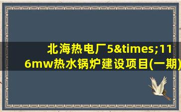 北海热电厂5×116mw热水锅炉建设项目(一期)