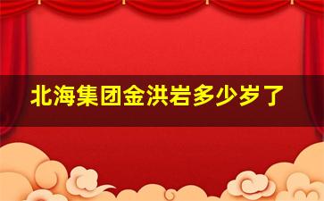 北海集团金洪岩多少岁了