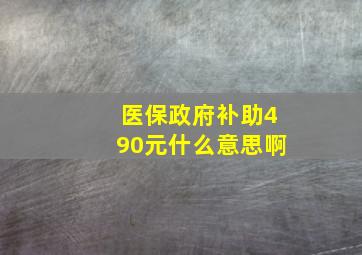 医保政府补助490元什么意思啊