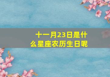 十一月23日是什么星座农历生日呢