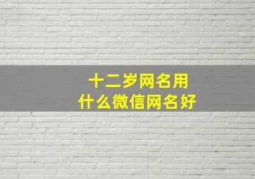 十二岁网名用什么微信网名好