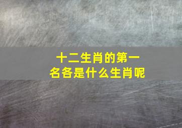 十二生肖的第一名各是什么生肖呢