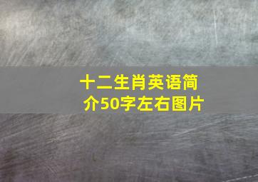 十二生肖英语简介50字左右图片