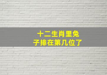 十二生肖里兔子排在第几位了