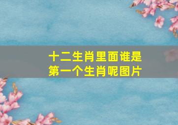 十二生肖里面谁是第一个生肖呢图片