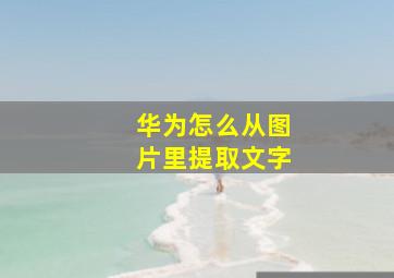 华为怎么从图片里提取文字