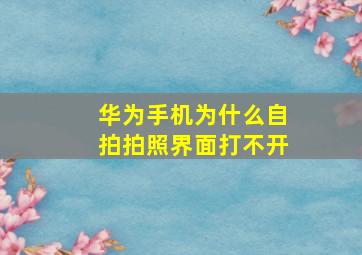 华为手机为什么自拍拍照界面打不开