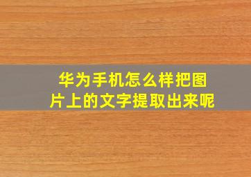 华为手机怎么样把图片上的文字提取出来呢