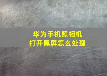 华为手机照相机打开黑屏怎么处理