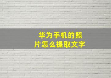 华为手机的照片怎么提取文字