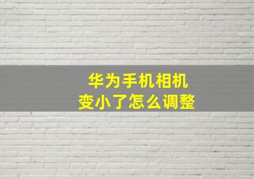 华为手机相机变小了怎么调整