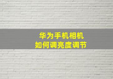 华为手机相机如何调亮度调节