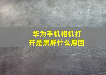 华为手机相机打开是黑屏什么原因