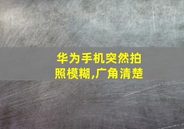 华为手机突然拍照模糊,广角清楚