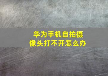 华为手机自拍摄像头打不开怎么办