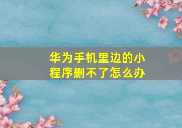 华为手机里边的小程序删不了怎么办