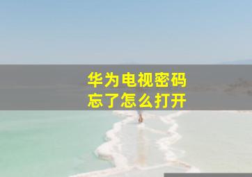 华为电视密码忘了怎么打开