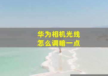 华为相机光线怎么调暗一点