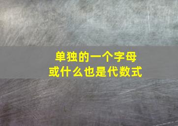 单独的一个字母或什么也是代数式