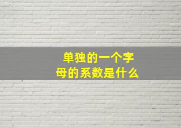 单独的一个字母的系数是什么