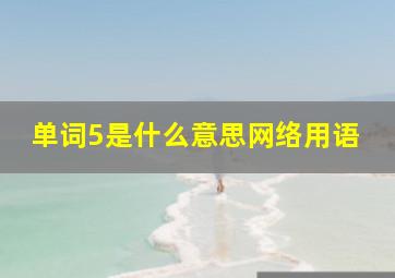 单词5是什么意思网络用语