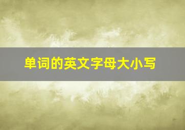 单词的英文字母大小写