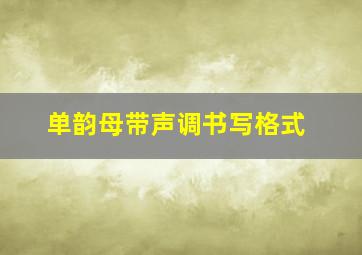 单韵母带声调书写格式