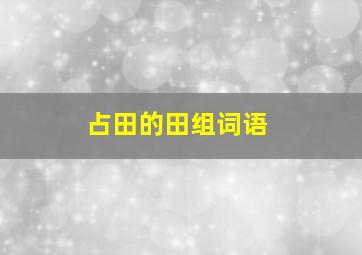 占田的田组词语